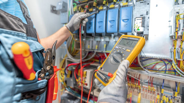 Best Electrical System Inspection  in Bath, MI
